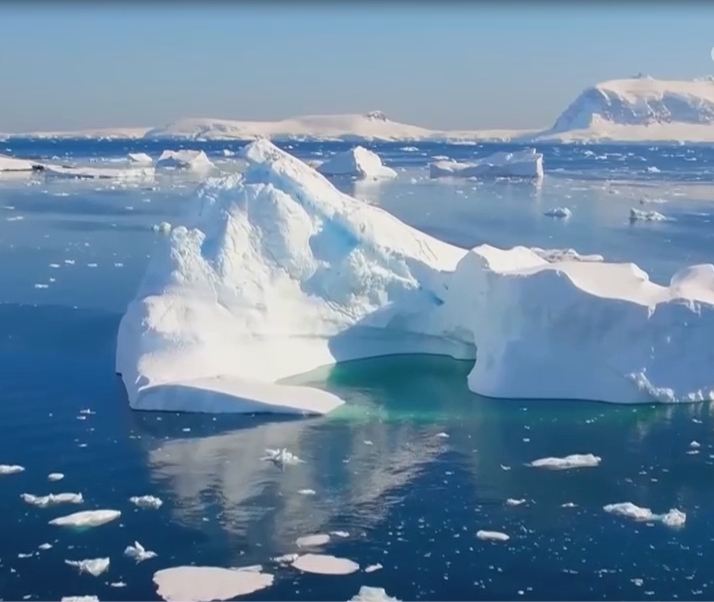 [资讯直播间]中国第40次南极考察 南极海冰 冰山形态各异 蕴藏地球奥妙